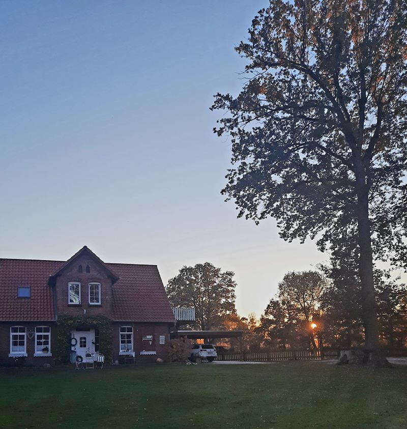 Hofgebäude des Eichenhofs mit großer alter Eiche im Abendlicht