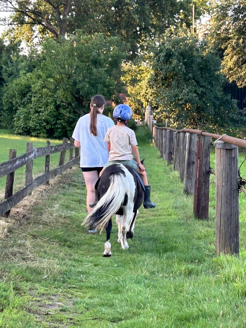 Kind reitet auf einem gescheckten Pony und wird am Weidezaun entlang geführt