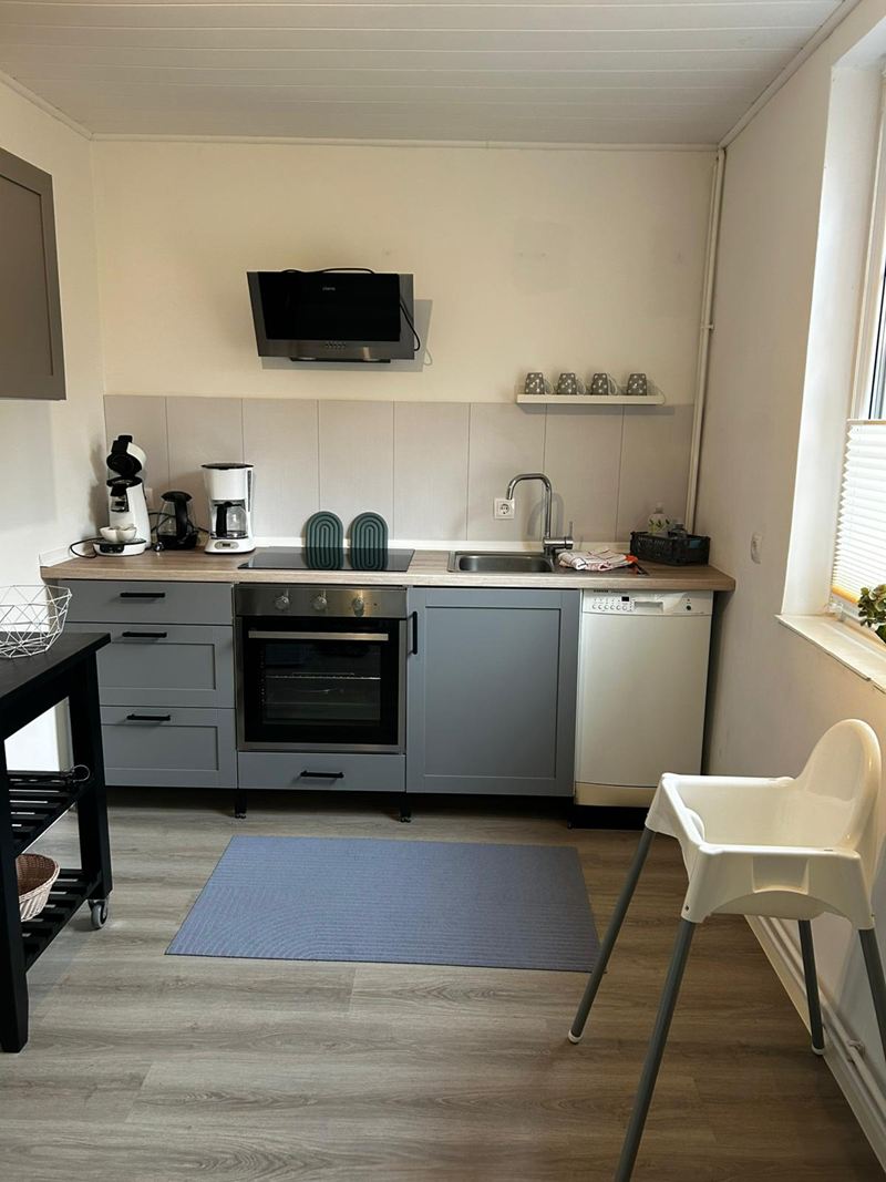 Küche mit Backofen, Spülmaschine und Kinderhochstuhl in der Ferienwohnung Luuk