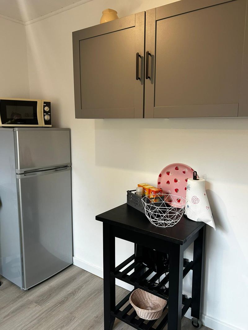 Kühlschrank und Küchenwagen in der Ferienwohnung Luuk